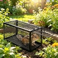 thumbnail image 4 of BPPEG Live Rat Trap Indoor/Outside - Squirrel Trap for Chipmunk, Small Rabbits, Weasel and Similar-Size Rodents, Fully Assembled, Black, 5x5x9", 4 of 7