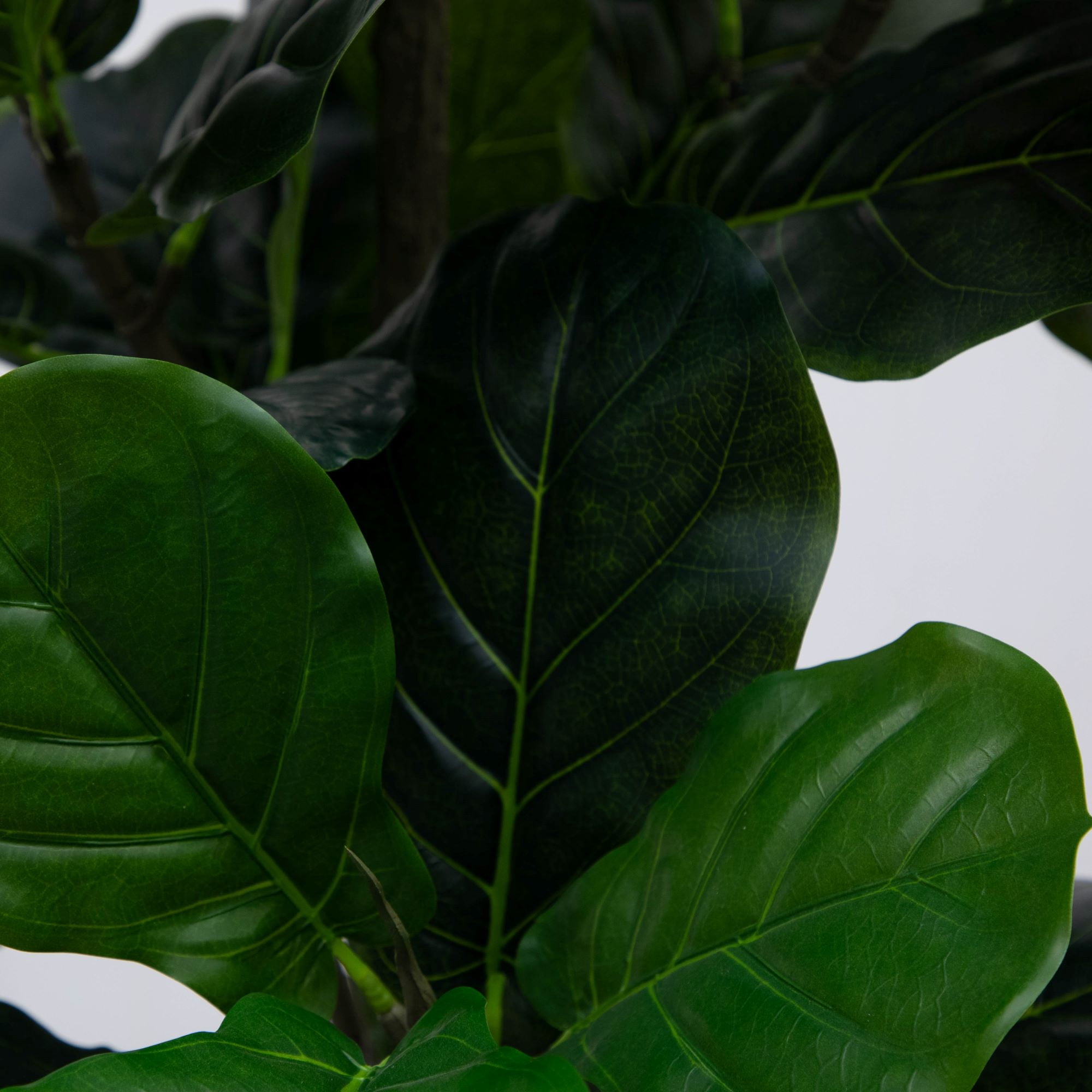 Mainstays 70" Artificial Indoor Fiddle Leaf Fig Tree in Black Pot