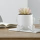 thumbnail image 3 of Maceta para orinar Novedosa | Jarrón de flores caprichoso único para suculentas, contenedor de plantas decorativas para interiores y exteriores | Divertida pieza de conversación | 5.3" de alto, 3 of 4