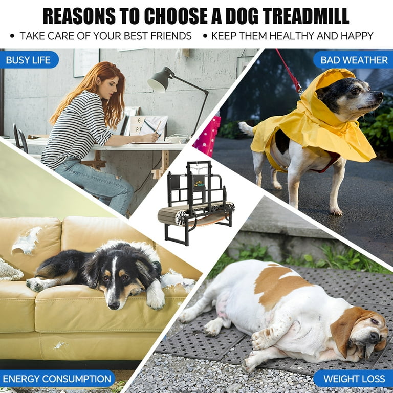 Innova Large Breed myofacial Puppy