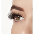 thumbnail image 2 of ARDELL Aqua Lashes - 345, 2 of 5