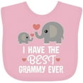 thumbnail image 3 of Inktastic Grandkids Best Grammy Ever Boys or Girls Baby Bib, 3 of 4