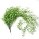 thumbnail image 4 of Planta de simulación de sauce de campana dorada para colgar en la pared, cesta colgante para decoración de pared, orquídea, ratán, plástico, flor falsa, planta verde, 4 of 6