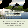 thumbnail image 3 of Moove Colostrum Supplement, Colostrum Capsules for Immune Support, Beauty & Gut Health, 60 Capsules, 3 of 9