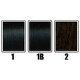 thumbnail image 2 of Zury Natural Dream Pre Stretched Remy Human Hair Blend Loose Bulk Braiding Hair 18", COLOR 2, 2 of 3