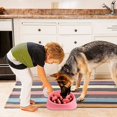 thumbnail image 5 of JinsintoSlow Feeding Dog Slow Feeder Bowl Non-slip Design Fun Interactive Feeding Dogs, 5 of 5