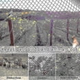 thumbnail image 5 of Filet Anti-Oiseaux Lourd pour Clôture de Jardin et Récoltes, Filet de Protection pour Clôture, Filet Anti-Oiseaux, Cerf, Chat, Chien, Poulet, Filet de Pêche, 5 of 5