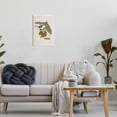 thumbnail image 2 of Stupell Industries Florida State Mockingbird Detailed Orange Blossom Pattern Graphic Art Unframed Art Print Wall Art, Design by Valentina Harper, 2 of 5