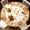 MulticolorB, variant on Fmbmuo Thanksgiving Round Table Cloth , Pumpkin Maple Leaf Fall Harvests Table Cover , for Thanksgiving Party Dinner Table Decoration