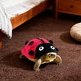 thumbnail image 3 of BotaniNest Tortoise Knitted Turtle Sweater Cute Warm For Little Tortoises, 3 of 3