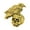 Gold Plated, variant on Raven and Skull Pin, Pins, G015, Lapel, Brooch, Hat, Backpack, Jacket, Bird, Raven, Skull, Skeleton, Over 120 Gothic, Viking, Medieval, Designs Available, Handmade in the USA, Pewter