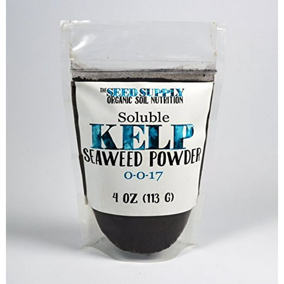 The Seed Supply Kelp Powder - 4 Ounce Organic Fertilizer (0-0-17) for Plant Root Development and Growth Stimulant