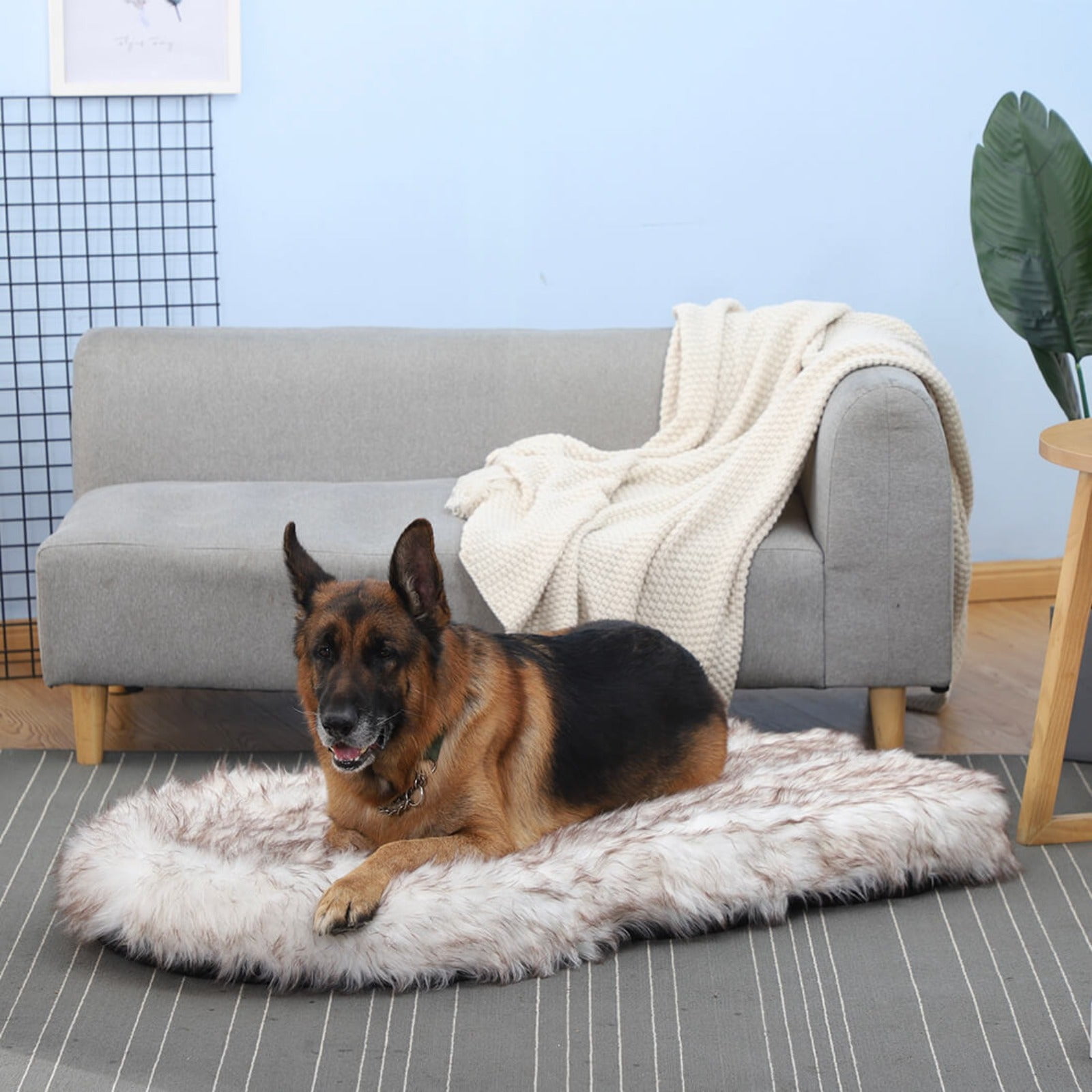 Laifug Large Dog Bed - Comfy Orthopedic Memory Foam, Waterproof Liner, and Washable Cover (White) - Ideal for Comfort and Easy Cleaning