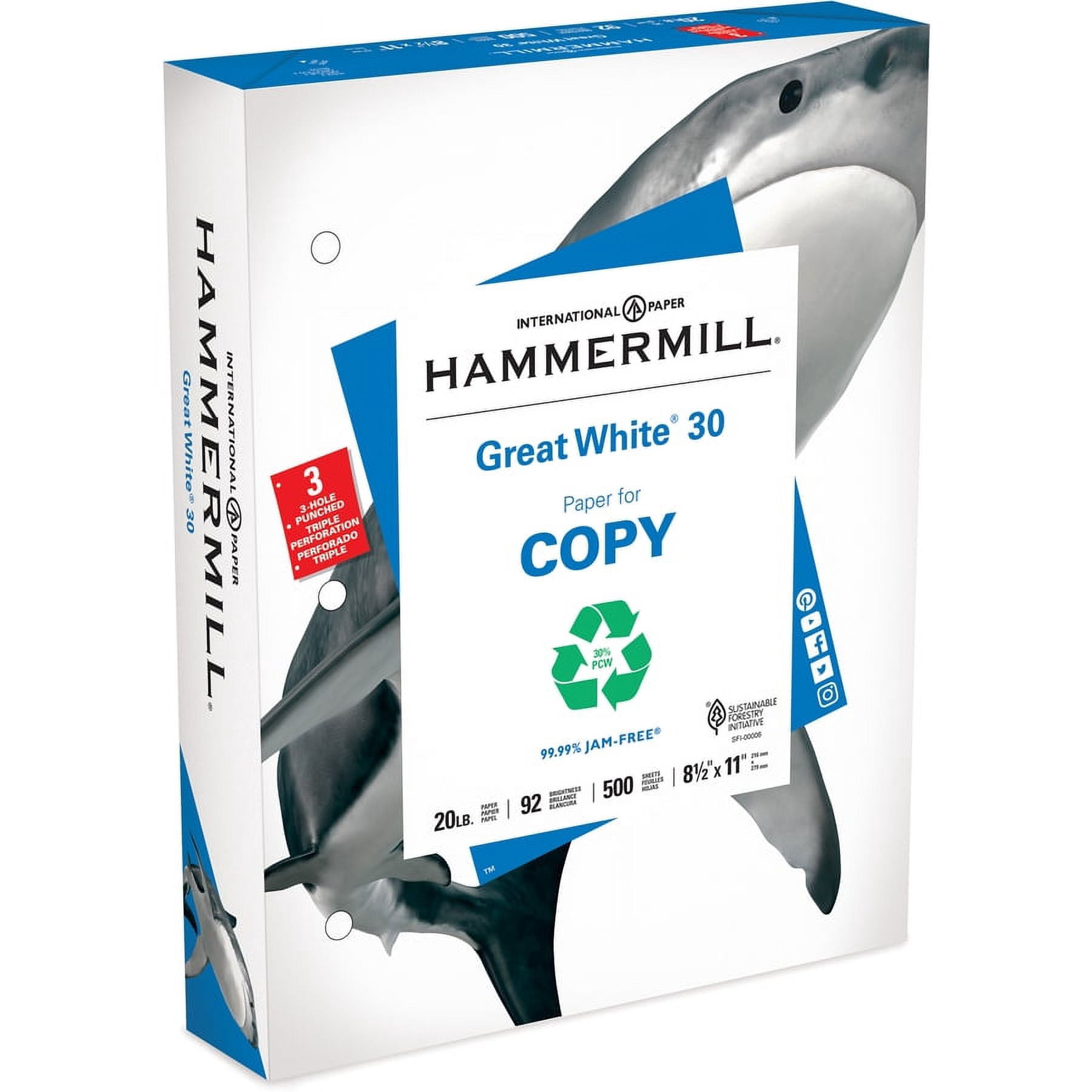 Hammermill Punched Copy Paper - For Laser, Inkjet Print - Letter - 8.50" X 11" - 20 Lb - Recycled - 3 X Hole Punched - 92 Brightness - 5000 / Carton - White (HAM86702)