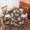 Pioneer Flower Floral-1, variant on Pioneer Flower Floral Print Pattern Round Tablecloth 60 X 60 Inch, Wrinkle Resistant Wipeable Table Cloth for Kitchen Dining Picnic Patio Party