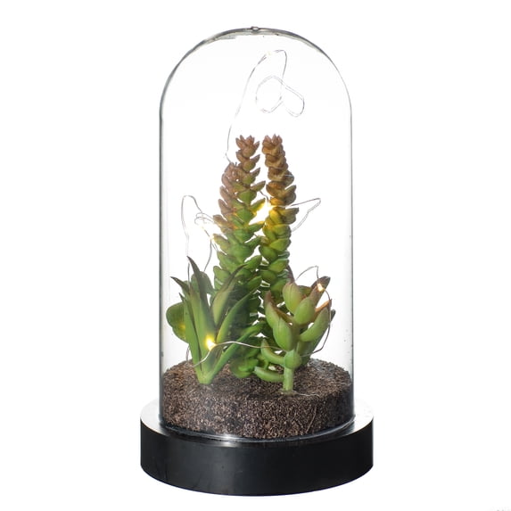 Sullivans Artificial Succulent in Plastic Globe with Lights 9"H, Green