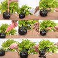 thumbnail image 4 of fastboy Succulent Plant Transplanting Tool Set Plastic Spatula Trowel Bucket Multi-Tool Garden Supplies, 4 of 8