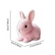 thumbnail image 4 of Electronic Plush Bunny Companion Plush Animal Can Jump and Make Sound Stuffed Animal Soft Plush Toy for Easter Boys and Girls, 4 of 5