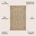 thumbnail image 3 of JONATHAN Y SANTA MONICA 3 x 5 Area Rug, Charleston Vintage Filigree Textured Weave - Beige/Brown, SMB106A-3, 3 of 4