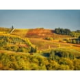 thumbnail image 2 of Eggers, Julie 32x26 White Modern Wood Framed Museum Art Print Titled - Italy-Chianti Vineyard in autumn in the Chianti region of Tuscany, 2 of 4