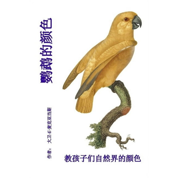 自然界&amp 鹦鹉的颜色: 教孩子们೽, (Paperback)
