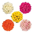 thumbnail image 2 of Bloomingmore Fresh Cut Flowers 16-Inch Multicolor Roses, 125 Count, 2 of 6