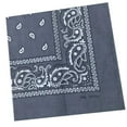 thumbnail image 4 of Diadema Muñequera Paisley Print gris Colcomx Bandana de algodón con estampado de cachemira, 4 of 7