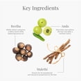 thumbnail image 3 of Limpiador de cabello Forest Essentials Amla Honey Mulethi 200 ml, 3 of 9