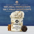 thumbnail image 4 of Talenti Caramel Cookie Crunch Gelato, 473 ml, 4 of 7
