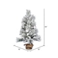 thumbnail image 3 of Vickerman D191030 36 in. Artificial Frosted Beacon Pine Tree with 82 Tips, 3 of 3