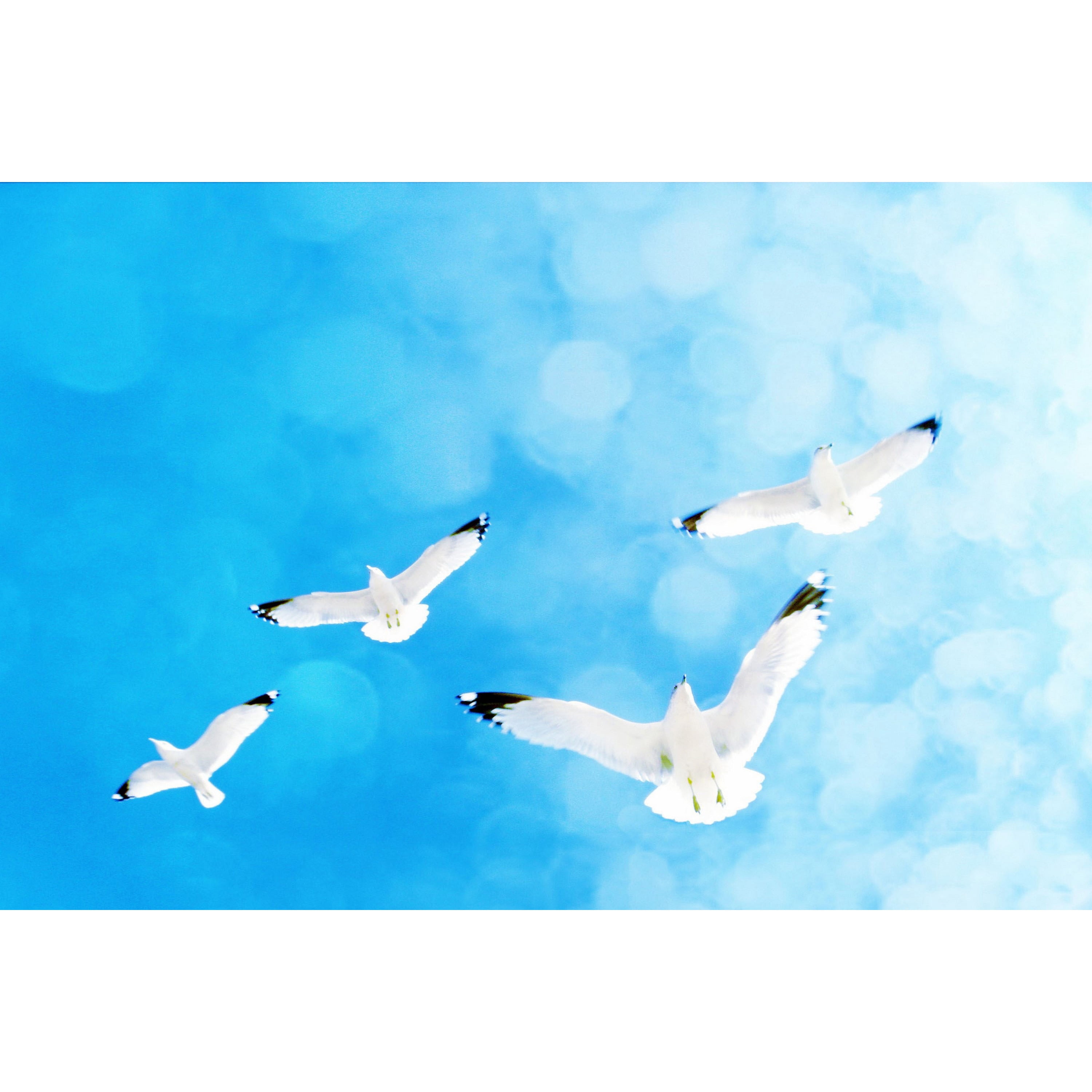 Marmont Hill 'Fly Free' by Robin Delean Painting Print on Wrapped Canvas