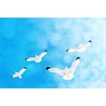 thumbnail image 3 of Marmont Hill 'Fly Free' by Robin Delean Painting Print on Wrapped Canvas, 3 of 5