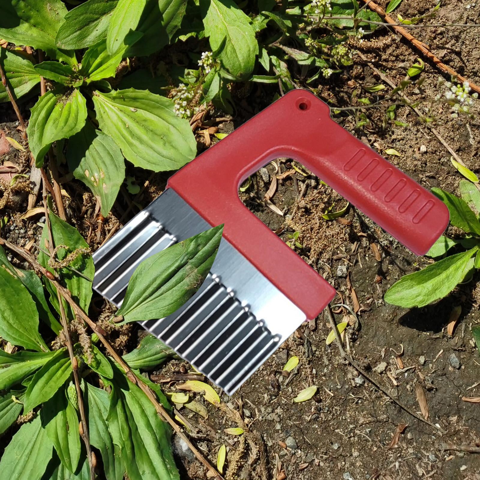 Stainless Steel Sidewalk Weeder Crevice Weeding Tool Grass Weeder Brush