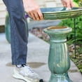 thumbnail image 6 of Sunnydaze Avignon Freestanding Ceramic Outdoor Bird Bath, UV-Resistant Green Mist Finish, 6 of 11