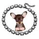 thumbnail image 1 of Iuiudobe Collares De Cadena Para Perros Pequeños Y Medianos,, 1 of 7