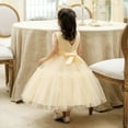 thumbnail image 4 of GYRATEDREAM 6M-6T Toddler Baby Girl Embroidered Tutu Ball Gown Lace Dresses with Headwear, 4 of 6