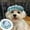 bleu, variante sur Chapeaux pour Animaux Mode Chien et Chat Casquette de Baseball Artiste Français pour Fête Anniversaire Mariage et Événements de Photographie