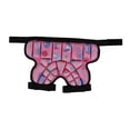 thumbnail image 4 of Pantalones Cortos Protectores de Cadera Acolchados para Niños, Pantalones Cortos Acolchados, Cojín EVA 3D, Equipo Protector de Esquí Ajustable para Pa Rosa, 4 of 8