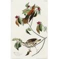 thumbnail image 2 of Audubon, John James 13x18 Black Ornate Wood Framed with Double Matting Museum Art Print Titled - Wood Thrush, 2 of 4