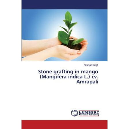 Mangifera Indica Mango - Stone Grafting in Mango (Mangifera Indica L.) CV. Amrapali