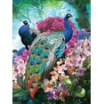 thumbnail image 2 of SUNSOUT INC - Pretty Peacock - 300 pc Jigsaw Puzzle by Artist: Rafael Trujillo - Finished Size 18" x 24" Peacock - MPN# 42374, 2 of 5