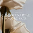 thumbnail image 3 of Spray de habitación Antica Farmacista Damascena Rose, Orris and Oud, 3 of 6