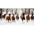thumbnail image 2 of PHBurchett 14x9 Gold Ornate Wood Framed with Double Matting Museum Art Print Titled - Snow Run I, 2 of 4