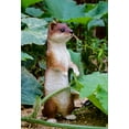 thumbnail image 1 of Hi-Line Gift Ltd. Debout Moins Belette Statue, Brun et Blanc, 1 of 3