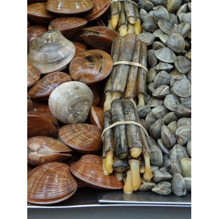 - LAMINATED POSTER Mussels Frisch Market Malaga Fish Spain Food Eat Poster Print 24 x 36
