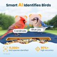 thumbnail image 3 of Comedero inteligente para aves WLNYUGS con cámara solar AI 2.5K UHD, 3 of 8