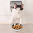 thumbnail image 4 of PTOOTP 5Ud Para Comida De Mascotas De Inoxidable Con Sin Rincones Para Limpieza Rápida Y Sencilla, 4 of 6