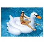 swan float walmart