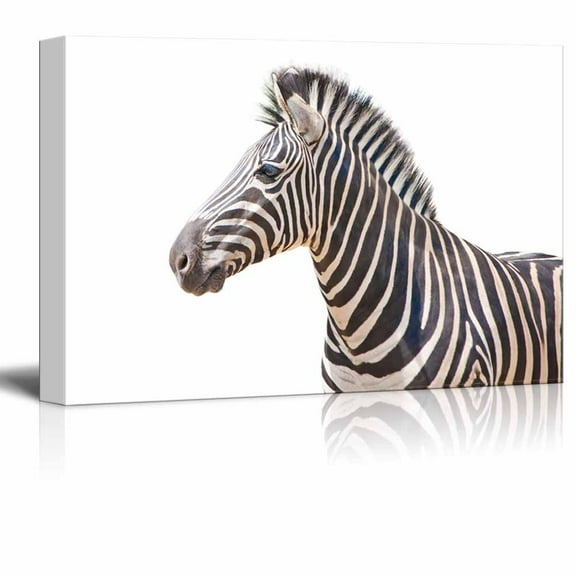 wall26 - Canvas Wall Art - A Zebra - Giclee Print Gallery Wrap Modern Home Art Ready to Hang - 24" x 36"
