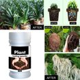thumbnail image 2 of Quick Rooting Powder Fast Plant Rooting Powder Plant Flower Rooting Powder Quick Growth Transplant Fertilizer for Improving Flowering Cutting Survival, 2 of 9